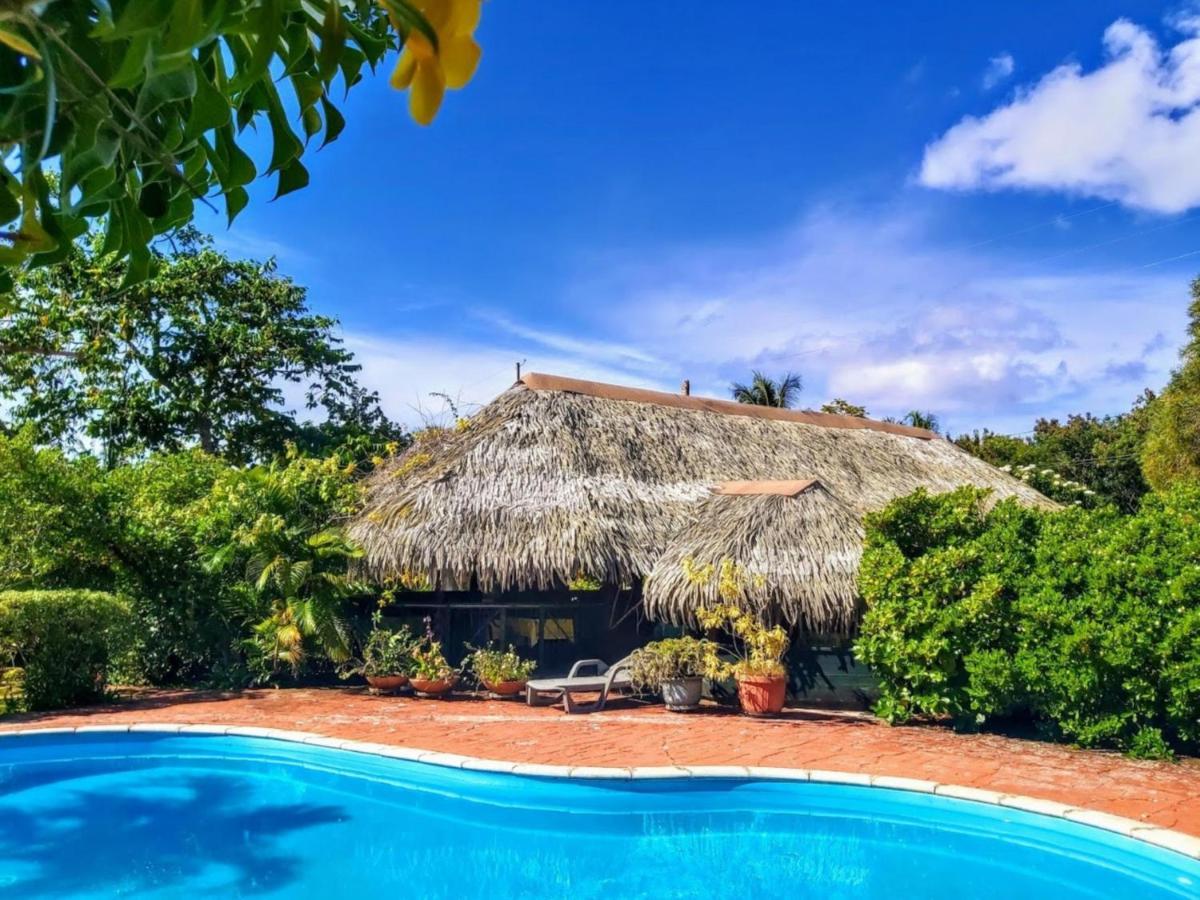 Huahine - Bungalow Pitate Fare Eksteriør bilde